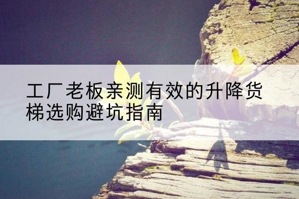 镇赉升降货梯怎么选-工厂老板亲测有效的升降货梯选购避坑指南