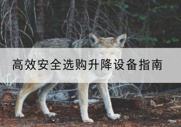 镇赉升降货梯厂家推荐-*安全选购升降设备指南