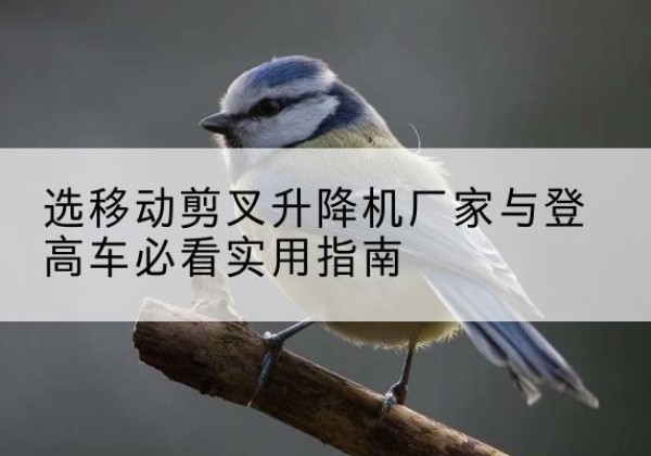 镇赉电动升降机厂家-选移动剪叉升降机厂家与登高车必看实用指南