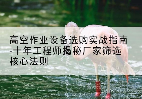 镇赉剪叉式升降机厂家-高空作业设备选购实战指南-十年工程师揭秘厂家筛选核心法则