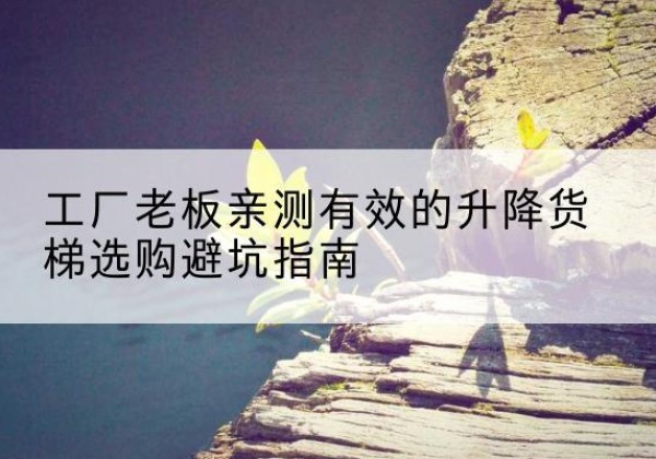镇赉升降货梯怎么选-工厂老板亲测有效的升降货梯选购避坑指南